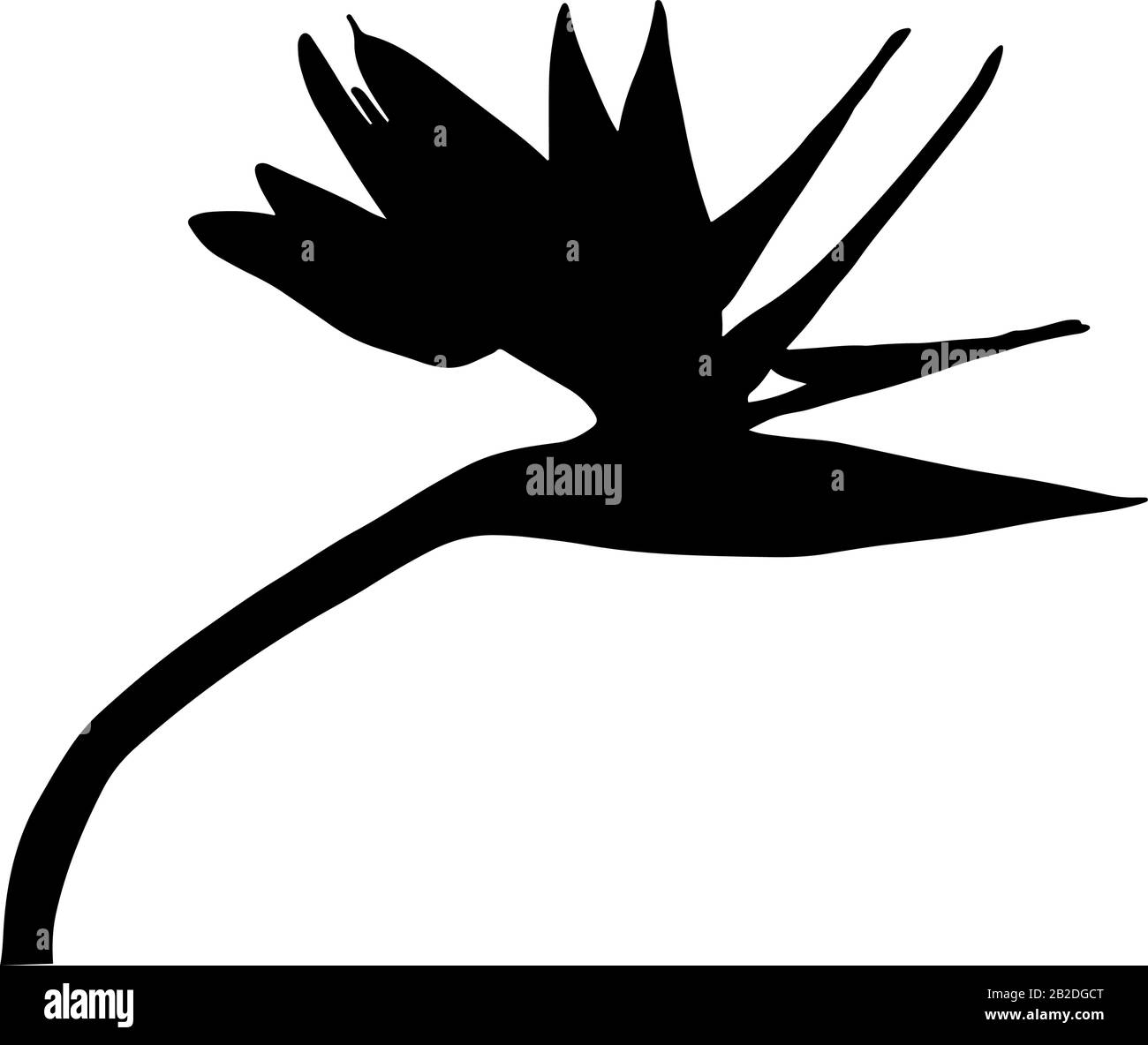 Strelitzia reginae tropical Afrique du Sud fleur isolée sur fond blanc. Illustration vectorielle.impression Silhouette tatouage, logo. Oiseau de paradis. Illustration de Vecteur