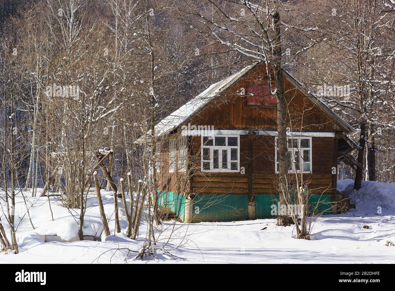 Maison rustique en bois dans une forêt hivernale enneigée dans une journée ensoleillée givrée Banque D'Images