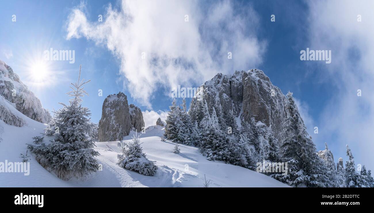 Paysage avec la montagne Piatra Mare, en hiver, Brasov, Roumanie Banque D'Images