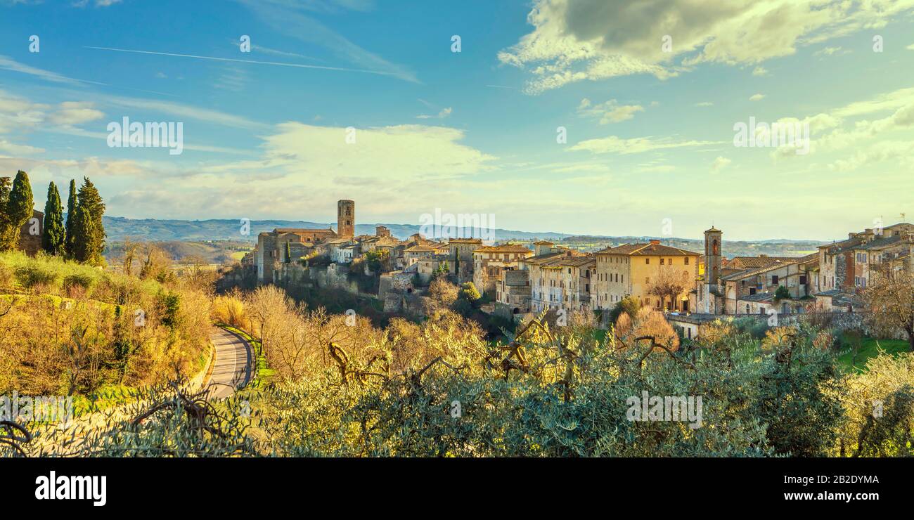 Vue panoramique sur la ville de Colle Val d'Elsa et ses oliviers. Ville de  verre de cristal. Sienne, Toscane, Italie Photo Stock - Alamy
