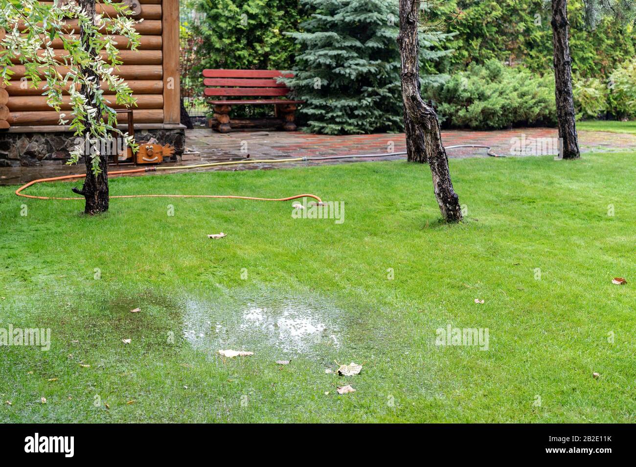 Buissons de jardin, pelouse d'arbre et d'herbe verte recouverte d'eau en raison de la fonte de la neige décongeler et flasher l'eau haute au printemps. Le déluge de catastrophe naturelle a été inondé Banque D'Images
