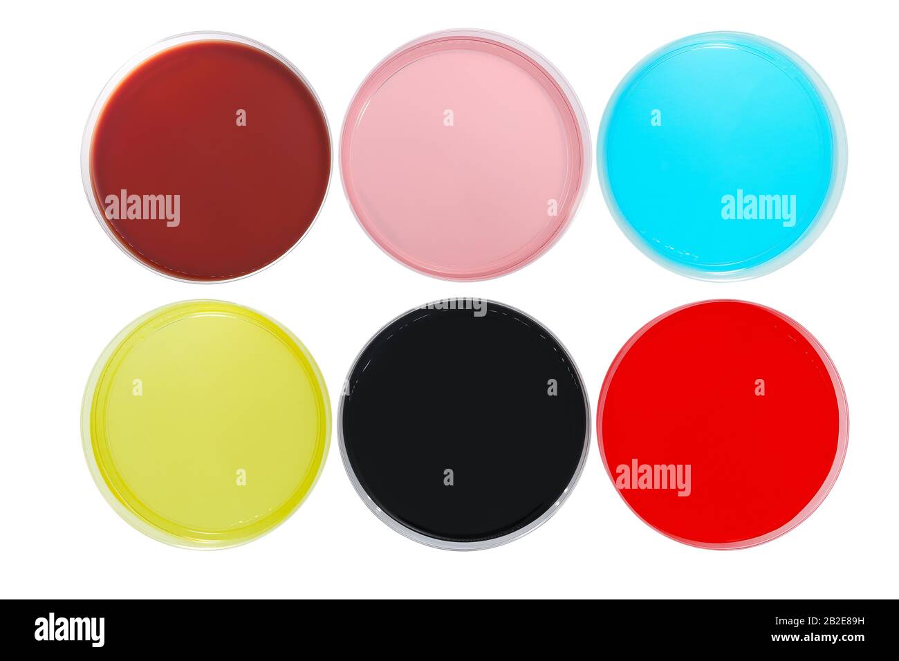 Différentes couleurs des boîtes de Petri pour les expériences dans un laboratoire scientifique Banque D'Images