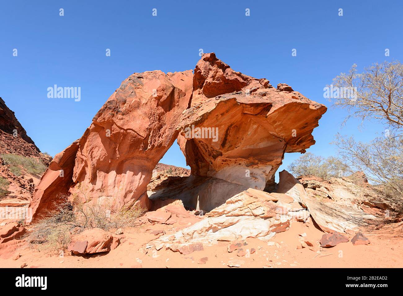 Champignon Rock à Rainbow Valley, est une affleurement de grès exceptionnellement façonné, au sud d'Alice Springs, territoire du Nord, territoire du Nord, territoire du Nord, Australie Banque D'Images