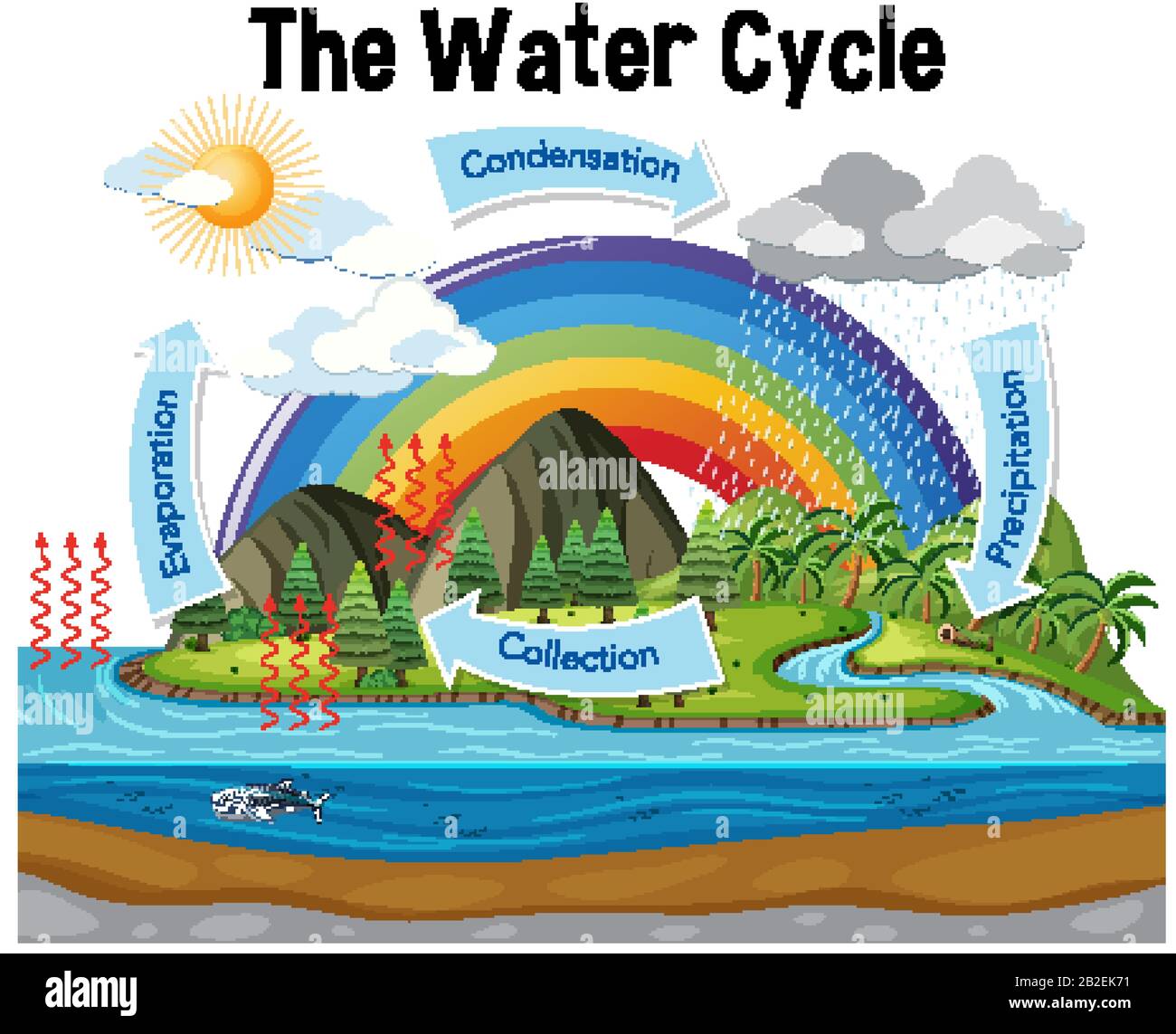 Diagramme montrant le cycle de l'eau avec l'illustration des précipitations et de l'océan Illustration de Vecteur