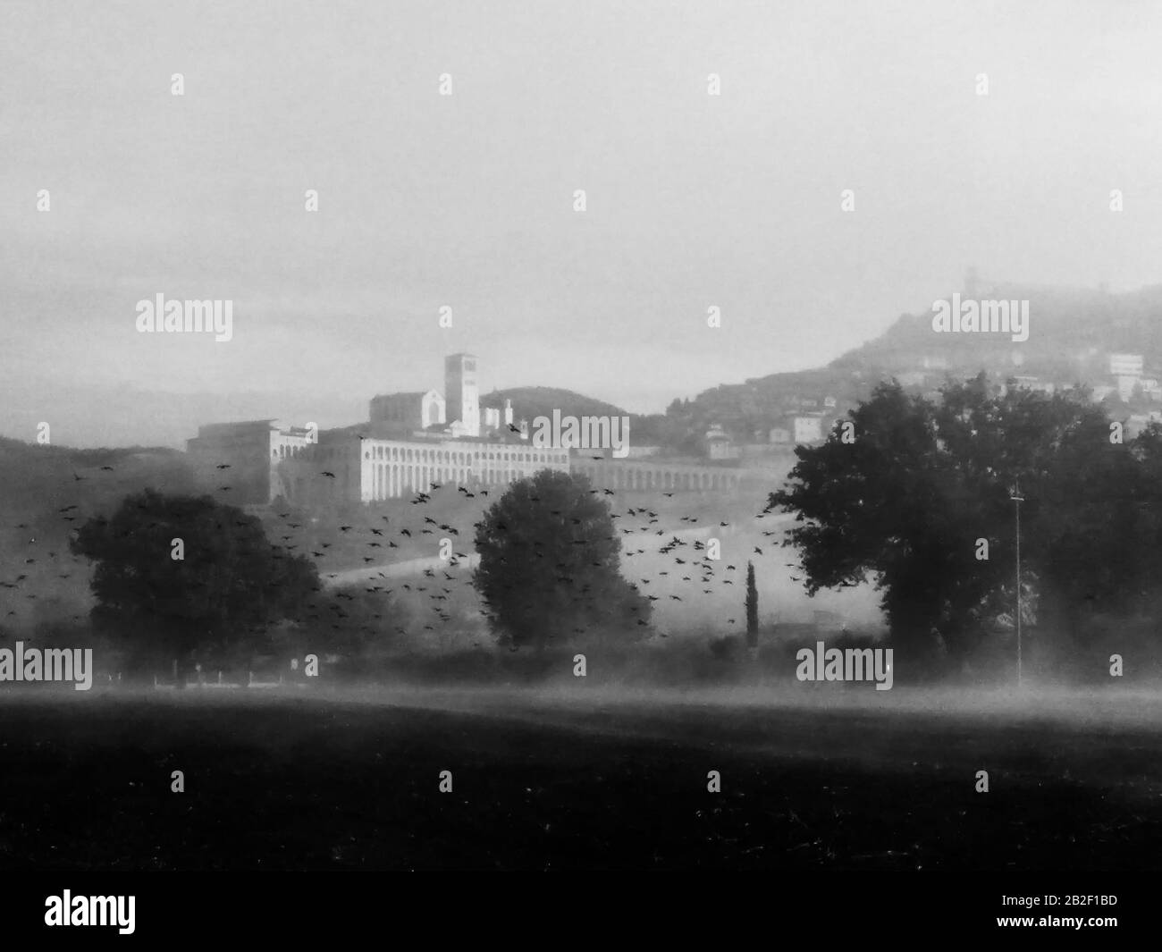 Vue surréaliste de l'église d'Assise et de Saint François (Ombrie, Italie) au milieu du brouillard avec un troupeau d'oiseaux sur un champ cultivé Banque D'Images