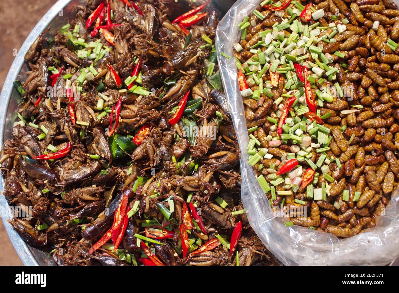 Sauterelles et vers frits sur le marché au Cambodge Banque D'Images