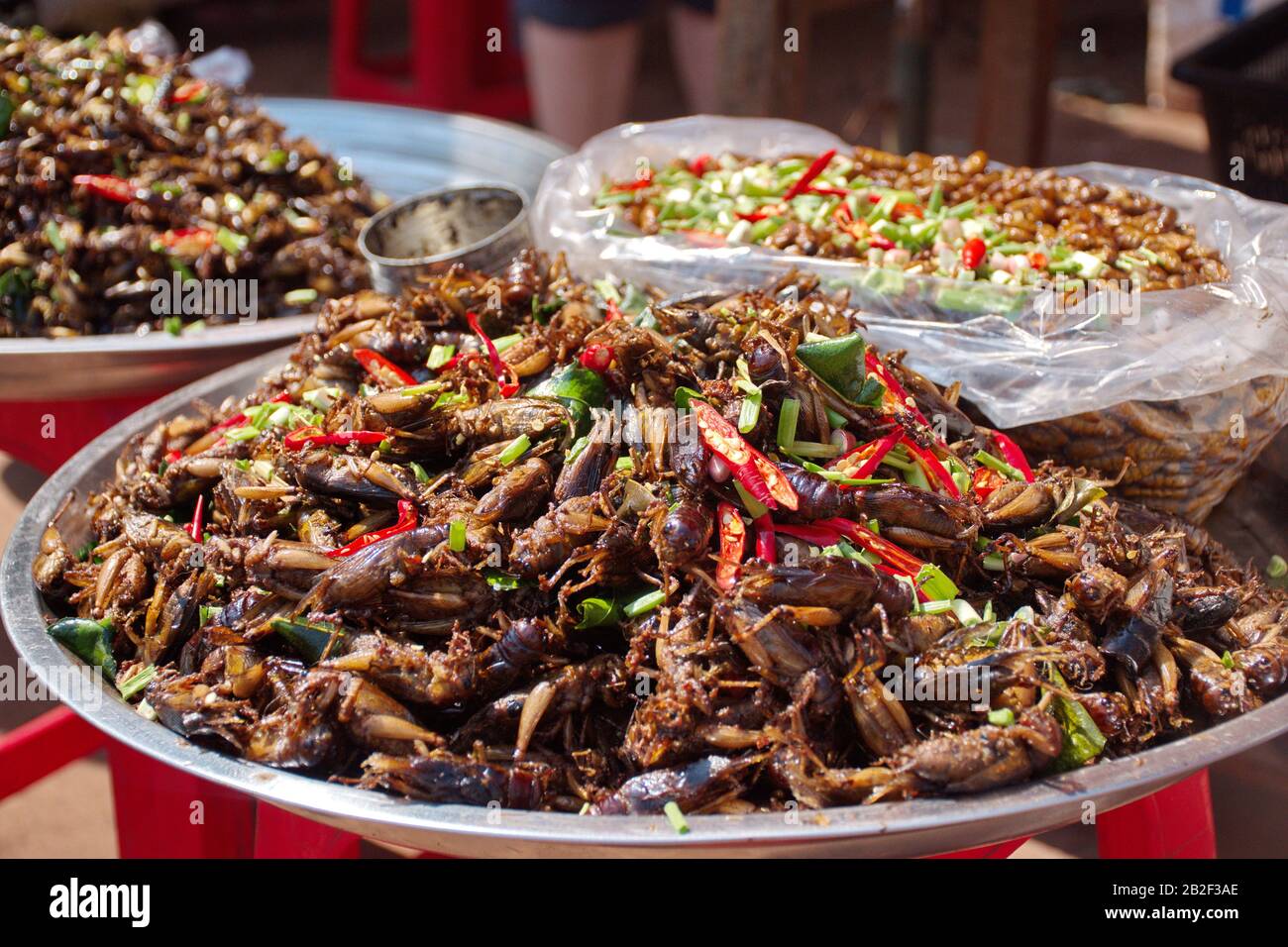 Sauterelles et vers frits sur le marché au Cambodge Banque D'Images