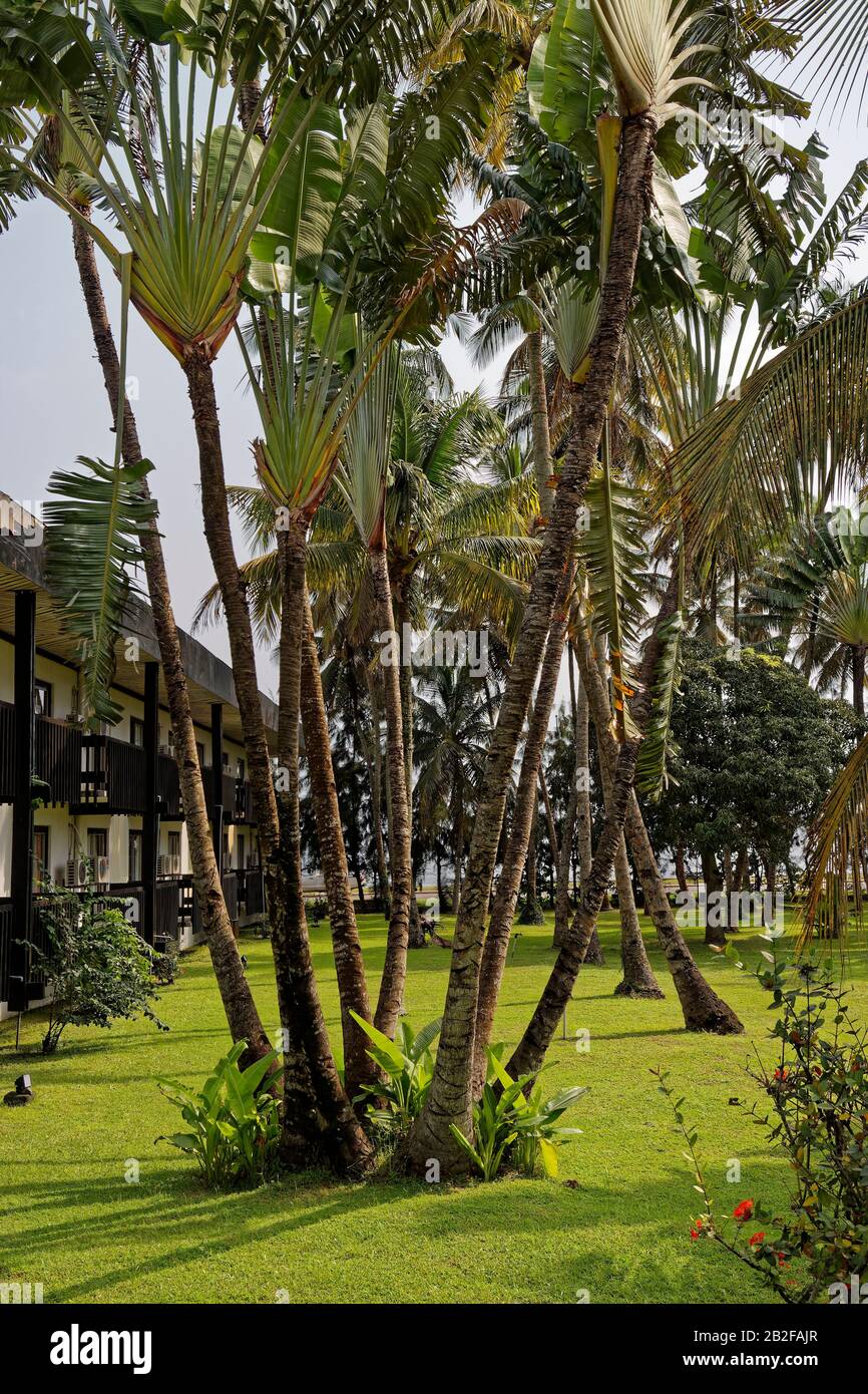 Les jardins tropicaux bien entretenus de l'hôtel Meridien dans la ville côtière de Port Gentil au Gabon. Banque D'Images