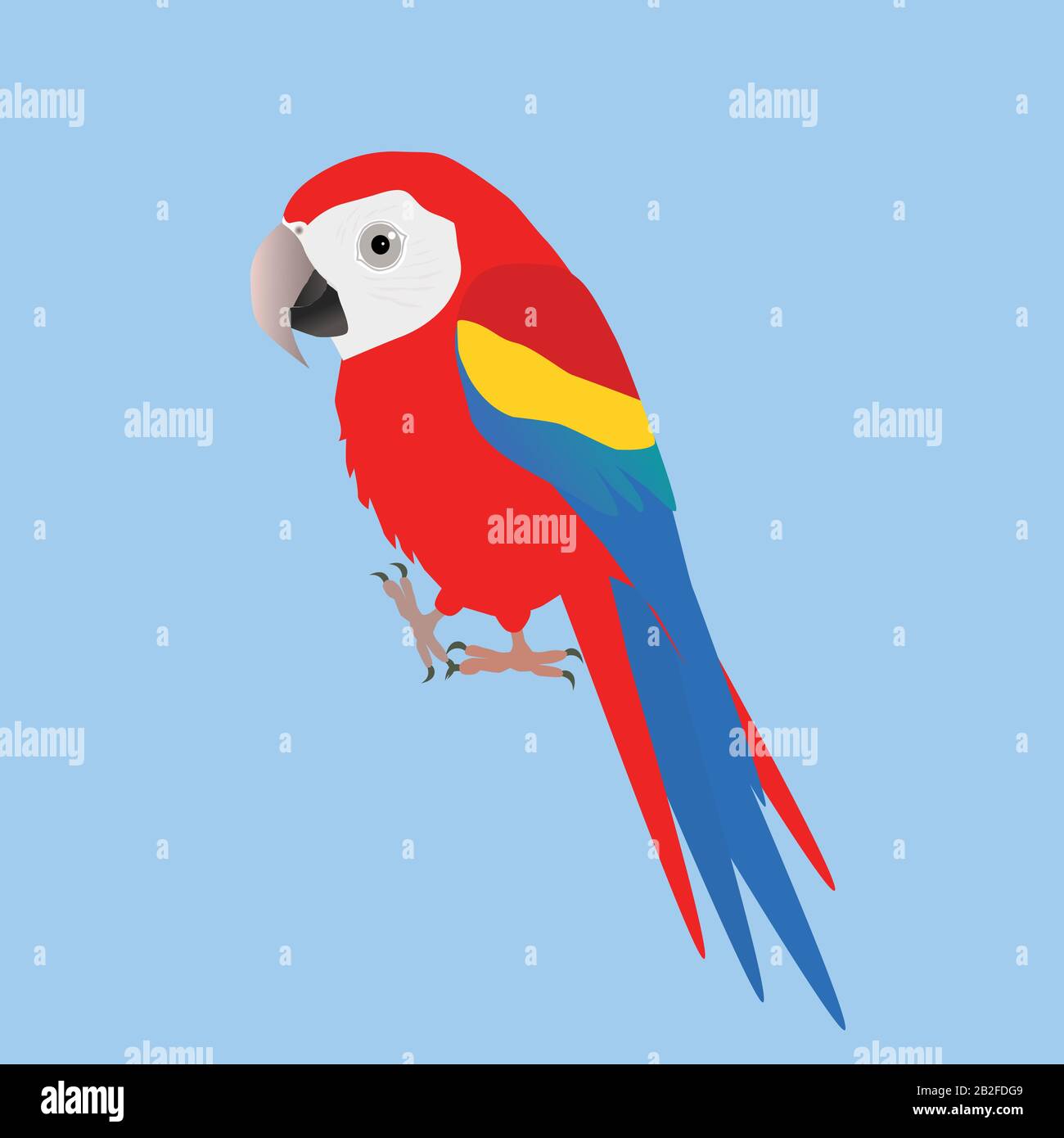 Une illustration d'un macaw rigolo drôle et mignon, style dessin animé Illustration de Vecteur