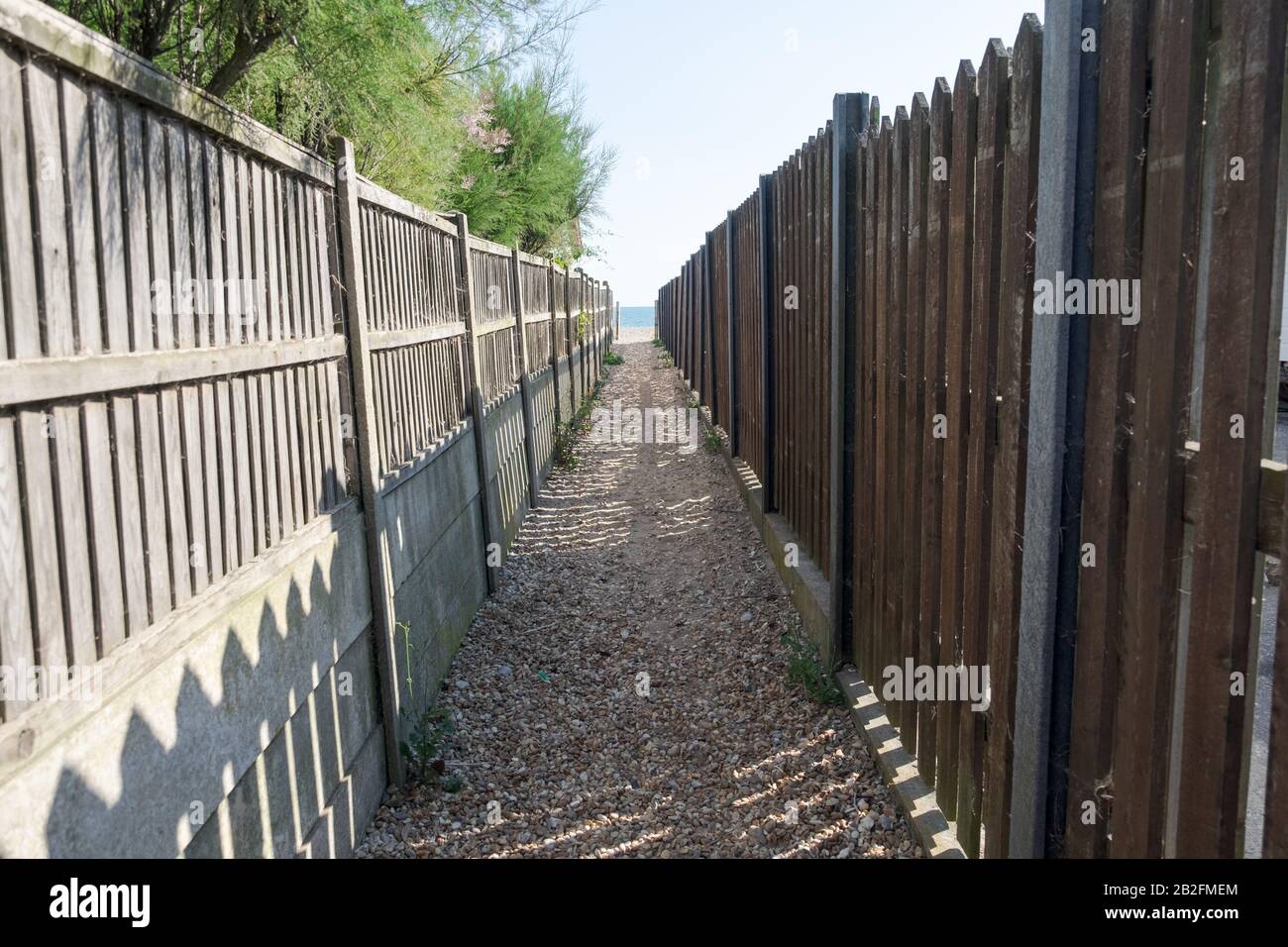 Sentier à West Sands, Selsey, qui mène à l'océan, entouré de clôtures rustiques en bois et d'une voie en galets. West Sussex, Angleterre. Banque D'Images
