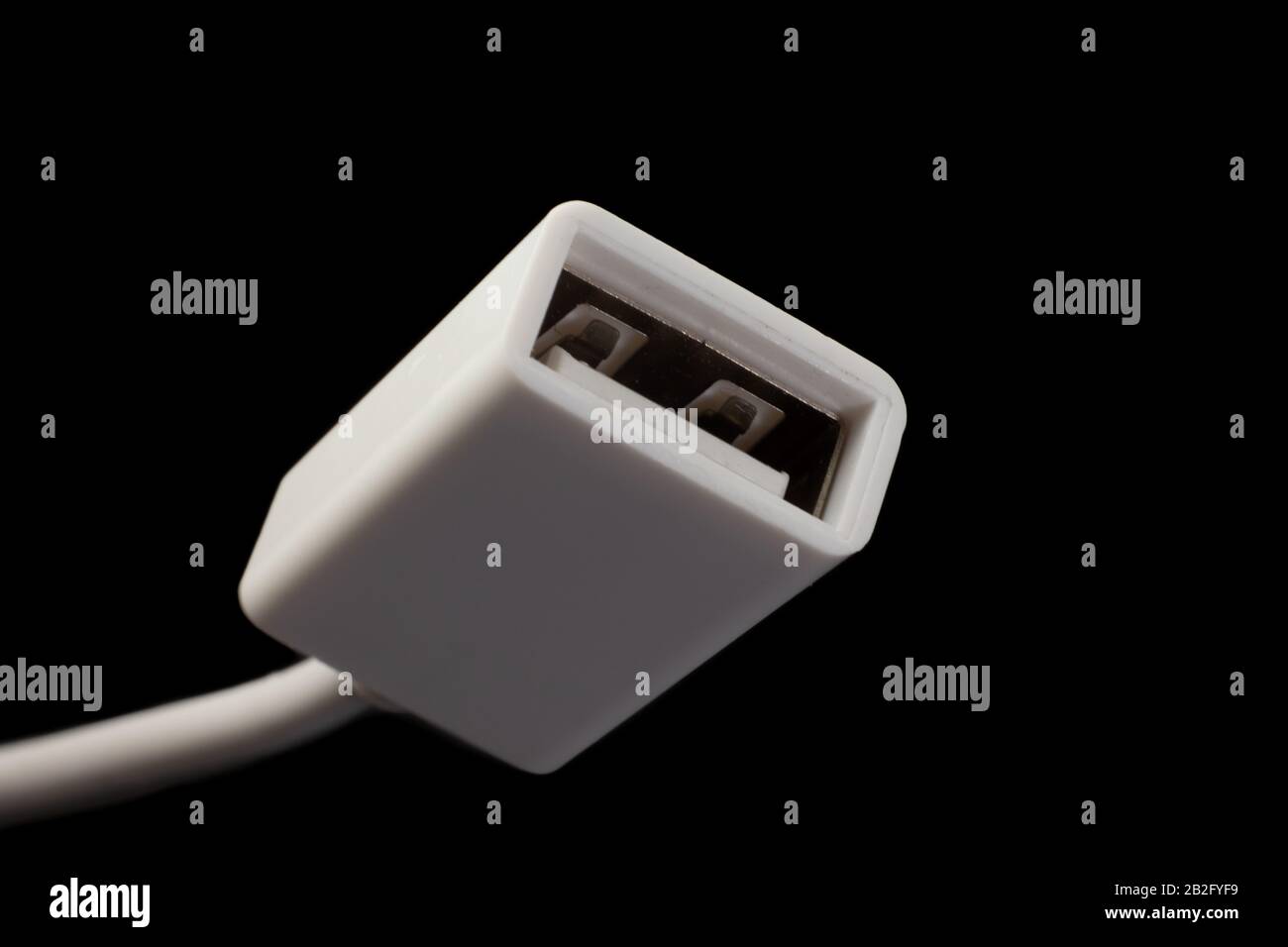 Fiche USB femelle sur un câble blanc, connecteur de type A standard. Banque D'Images