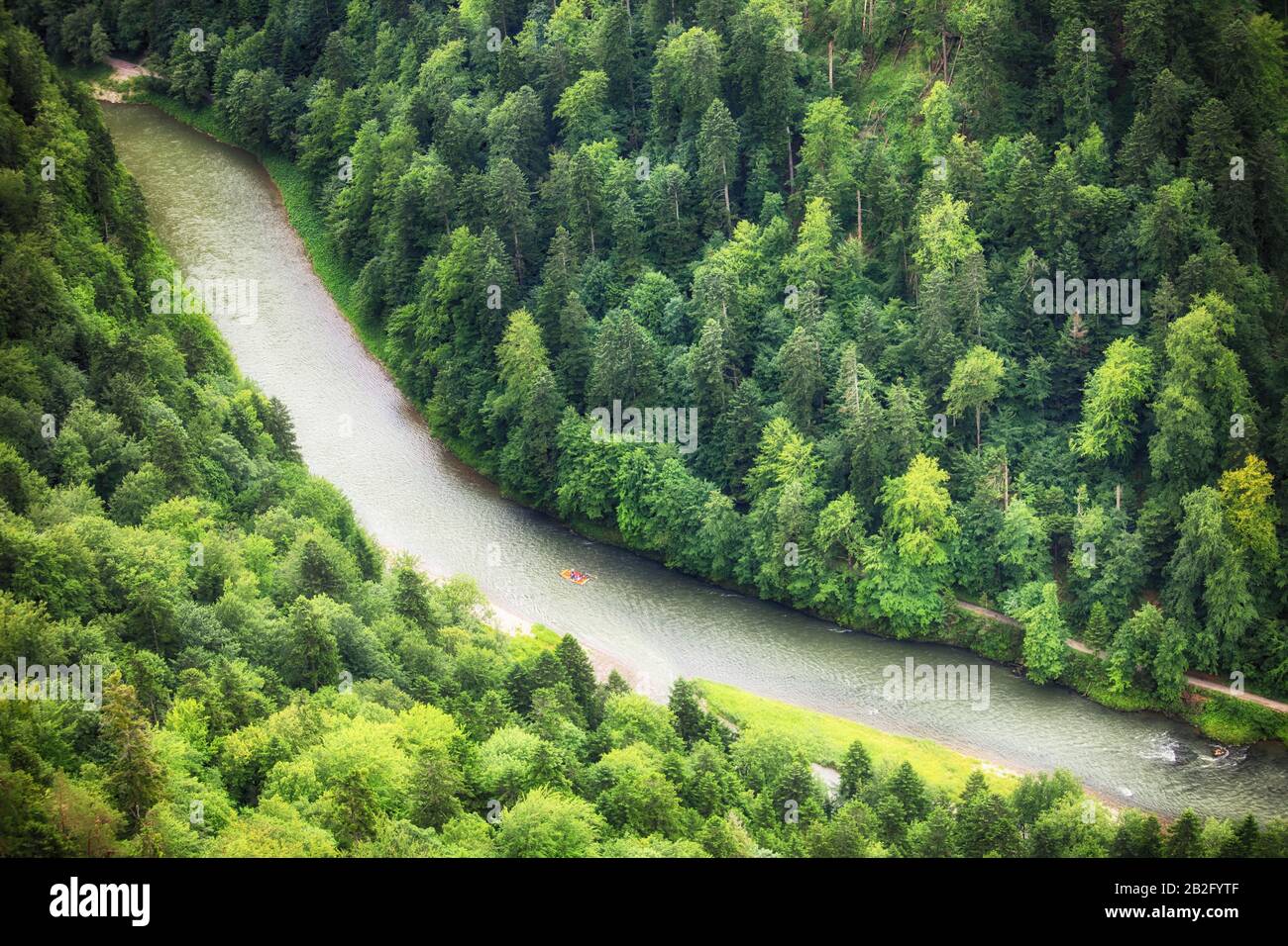 Vert forêt avec rivière, vue aérienne comme arrière-plan. Banque D'Images