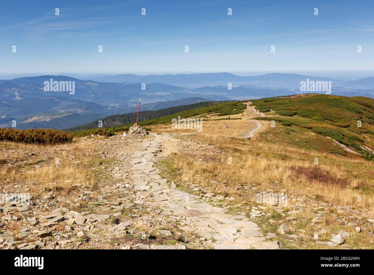 Sentier de randonnée pour la montagne Babia Gora en Pologne sous le ciel bleu en été, polonais les montagnes Beskid paysage avec chemin Banque D'Images