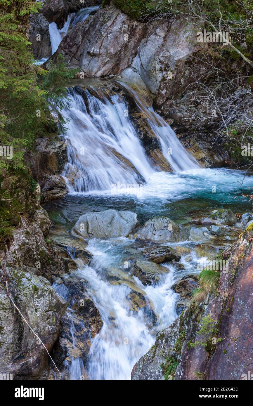 Cascade sur le ruisseau de montagne, Wodogrzmoty Mickiewicza en Pologne Banque D'Images