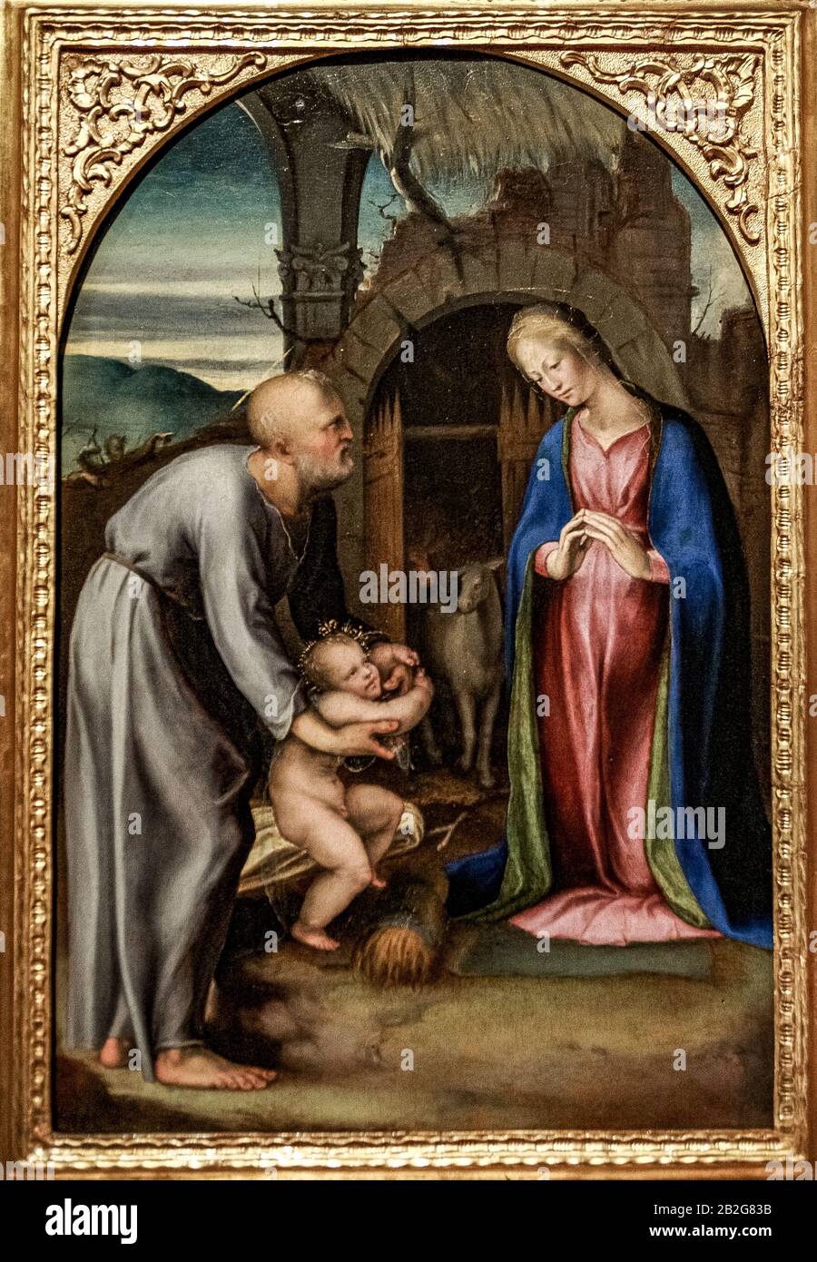 Italie Marches Pesaro - Musée Civique - Galerie D'Art - Adoration De L'Enfant Jésus, Huile Sur Plaque 1513 De Domenico Beccafumi Banque D'Images