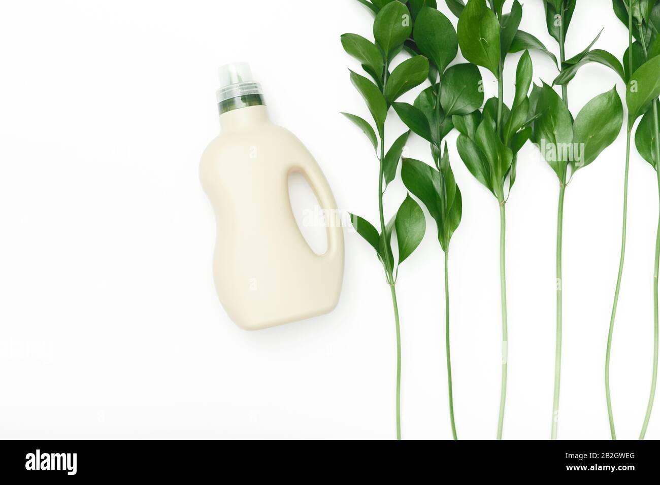Flacon pour conditionneur de lavage bio, agent de nettoyage, avec extrait de plante naturel Banque D'Images