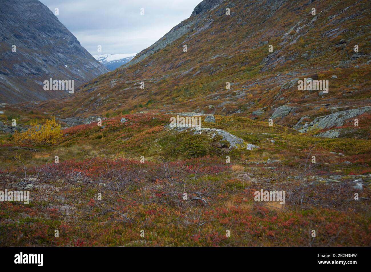 Belles couleurs entourant un petit lac dans les montagnes norvégiennes Banque D'Images