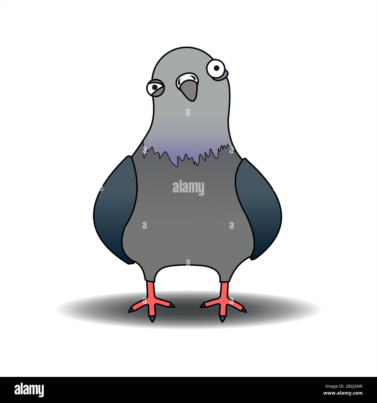 Pigeon Illustration Banque D Image Et Photos Alamy