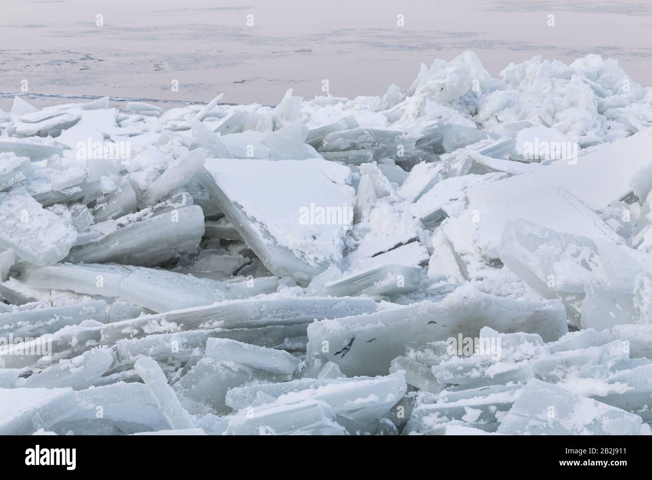 Glace sur le Danube gelé près de Belgrade, Zemun, Serbie Banque D'Images