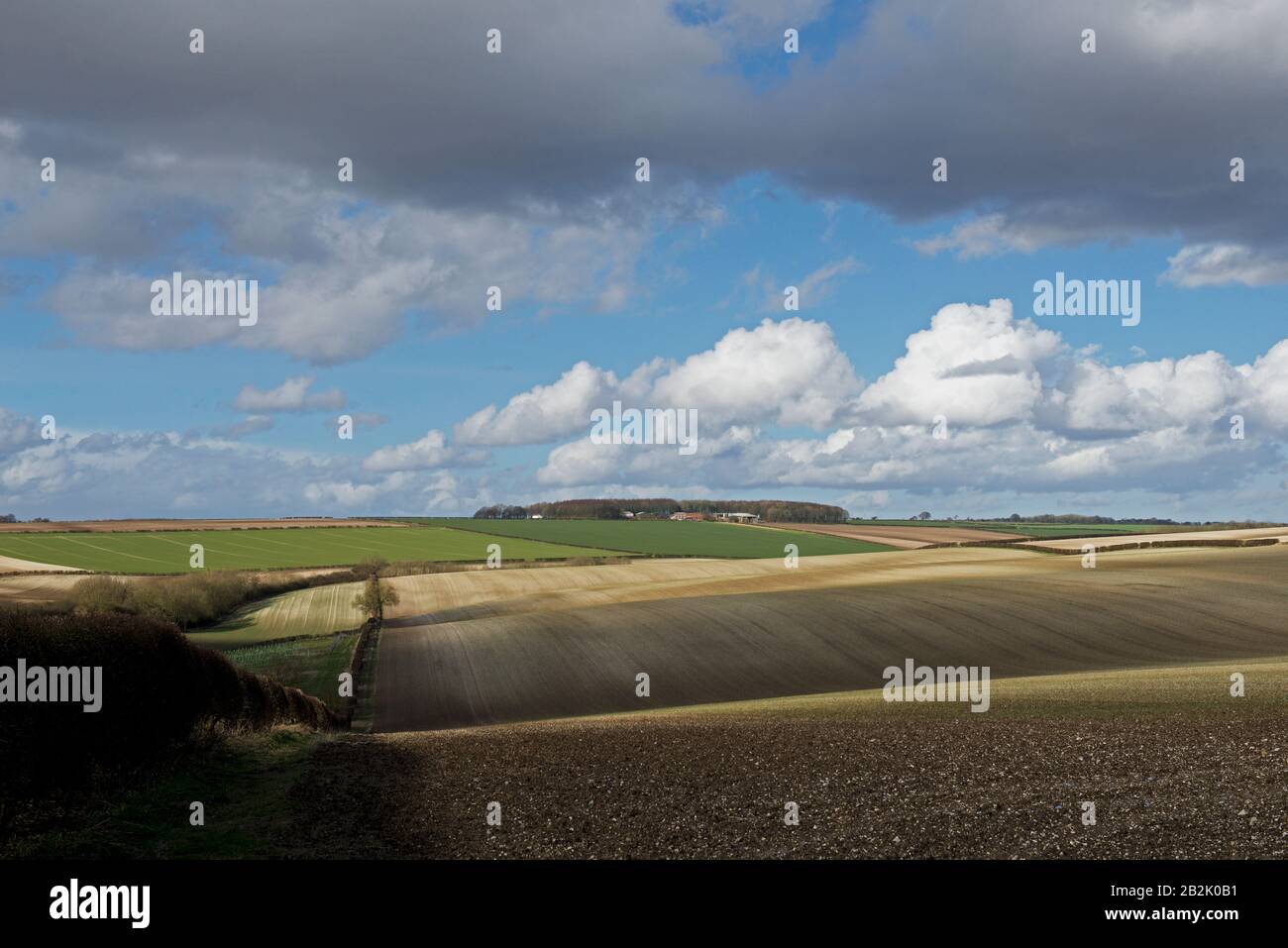Paysage agricole typique dans le Yorkshire Wolds, Yorkshire de l'est, Angleterre Royaume-Uni Banque D'Images