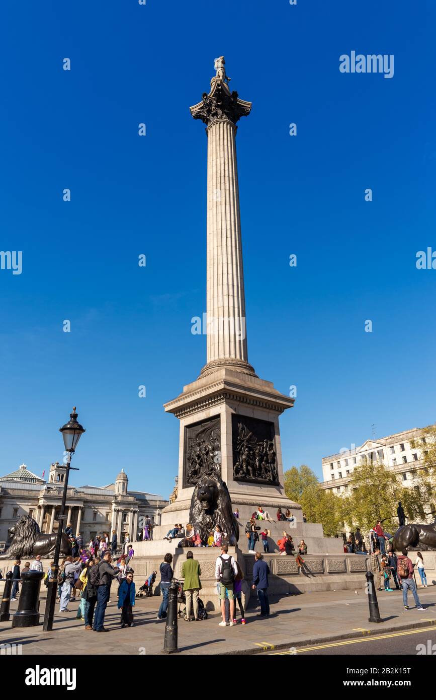 La colonne Nelson à Trafalgar Square, London, England, UK Banque D'Images