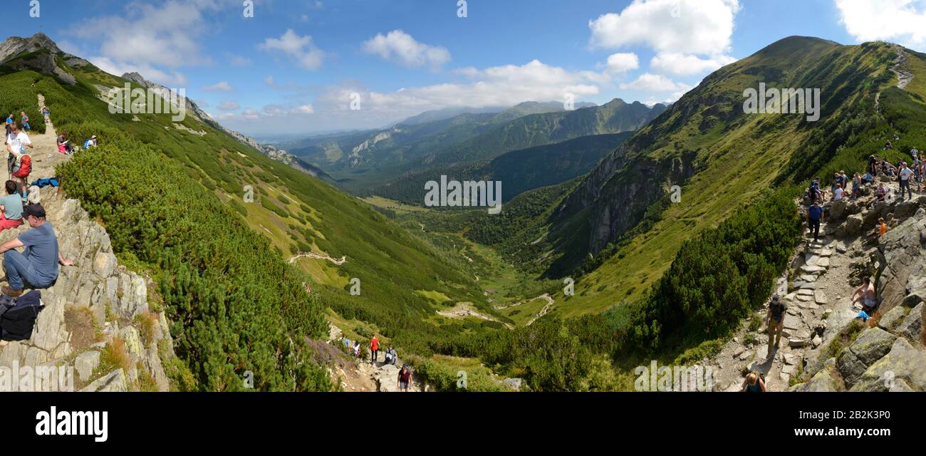 Bergtal Polana Kondratowa, Hohe Tatra, Polen Banque D'Images