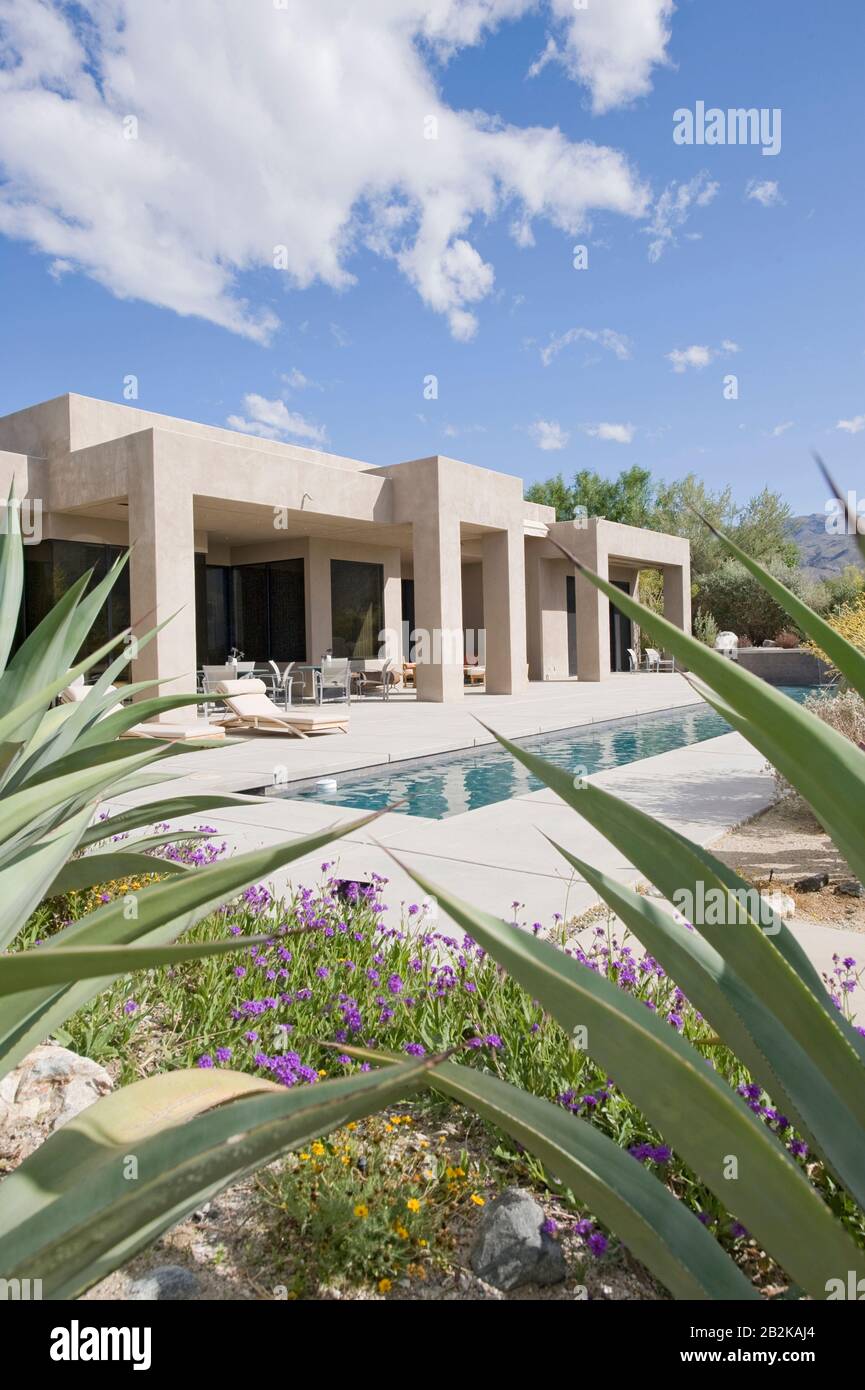 En regardant par les buissons jusqu'à l'extérieur de la maison avec piscine pour longueurs Banque D'Images