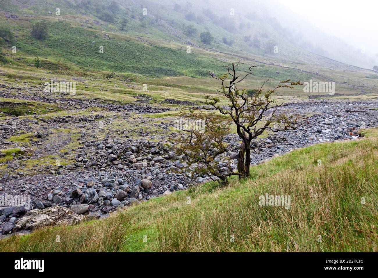 Rocky stream à la campagne Banque D'Images