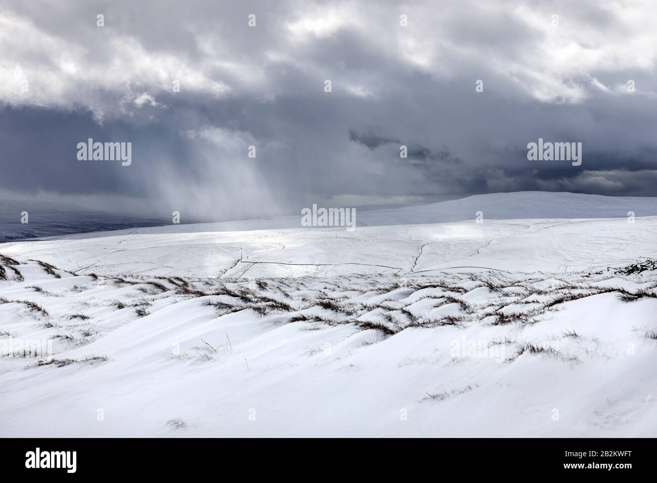 Averses De Neige Se Balaient À Upper Teesdale, En Vue De Great Stony Hill, Teesdale, County Durham, Royaume-Uni Banque D'Images