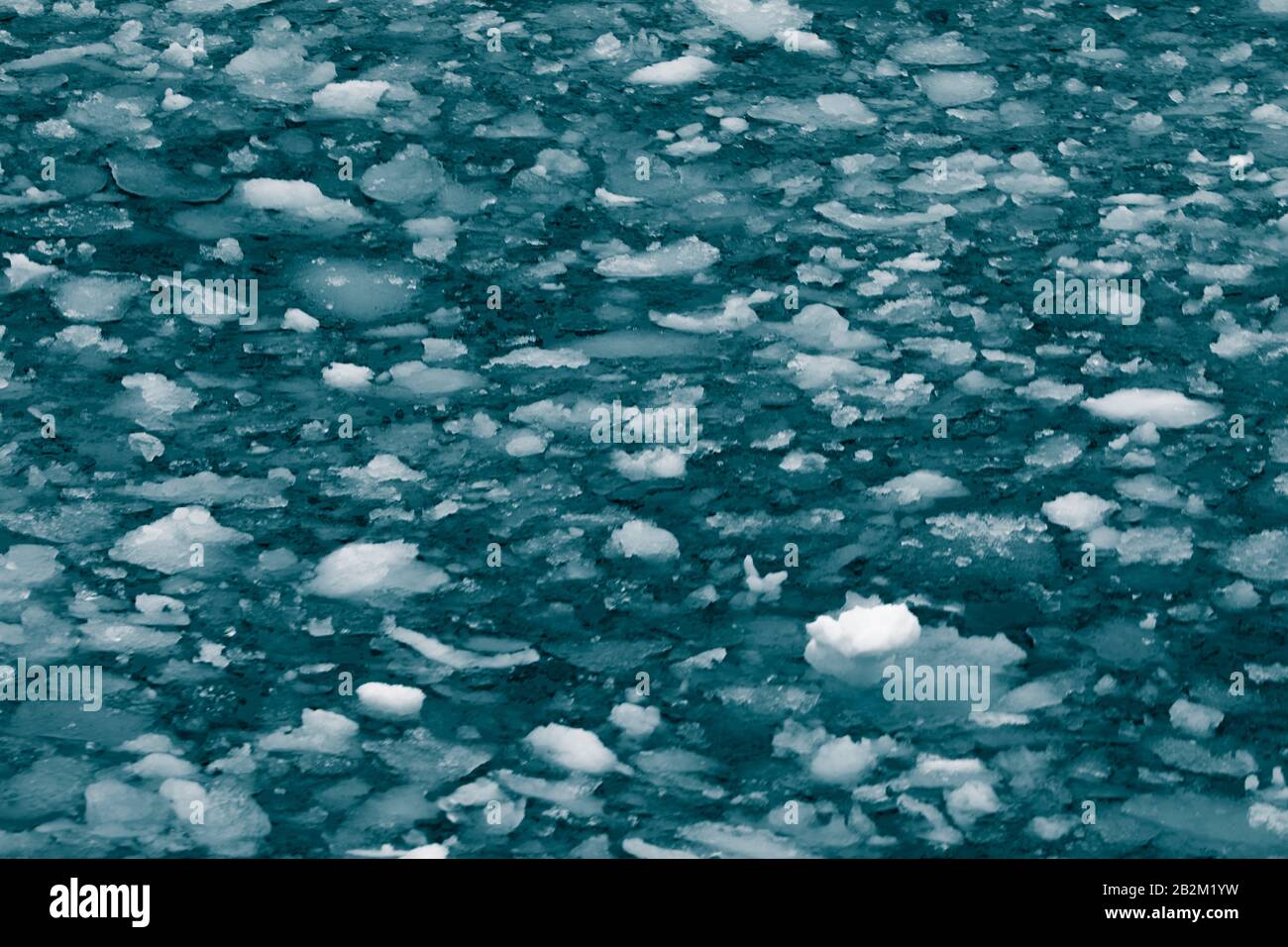 Glace flottante au Spitsbergen, fonte des glaciers Banque D'Images