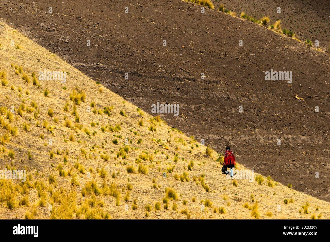 Andes équatoriennes Paysage avec un paysan passant par Banque D'Images