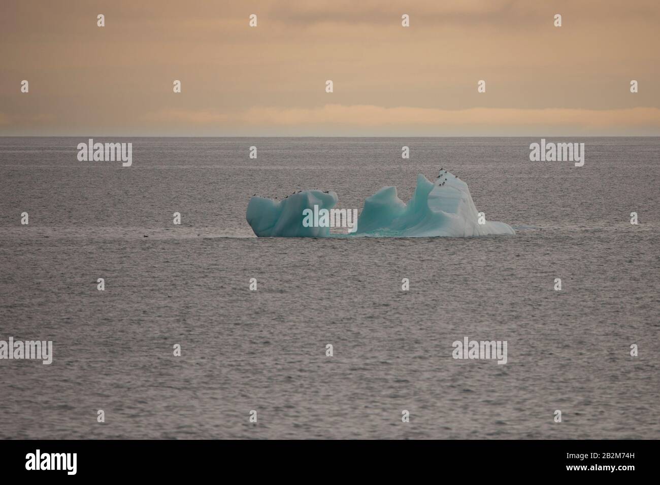 Glace flottante au Spitsbergen, fonte des glaciers Banque D'Images