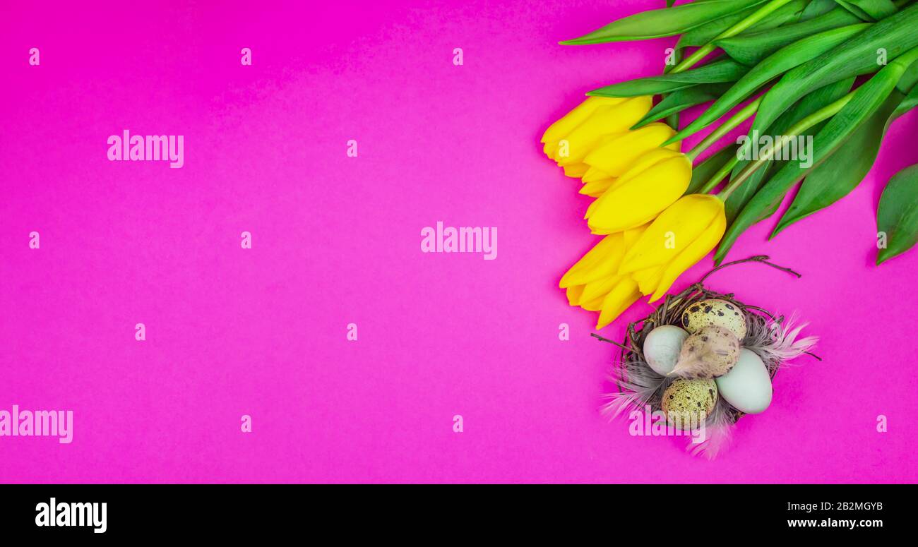 Œufs de Pâques. Bonne carte de pâques. Pâques multicolore. Œufs de Pâques sur fond en bois rose. Fond de Pâques. Carte de Pâques. Salutations de Pâques. Heureux Banque D'Images