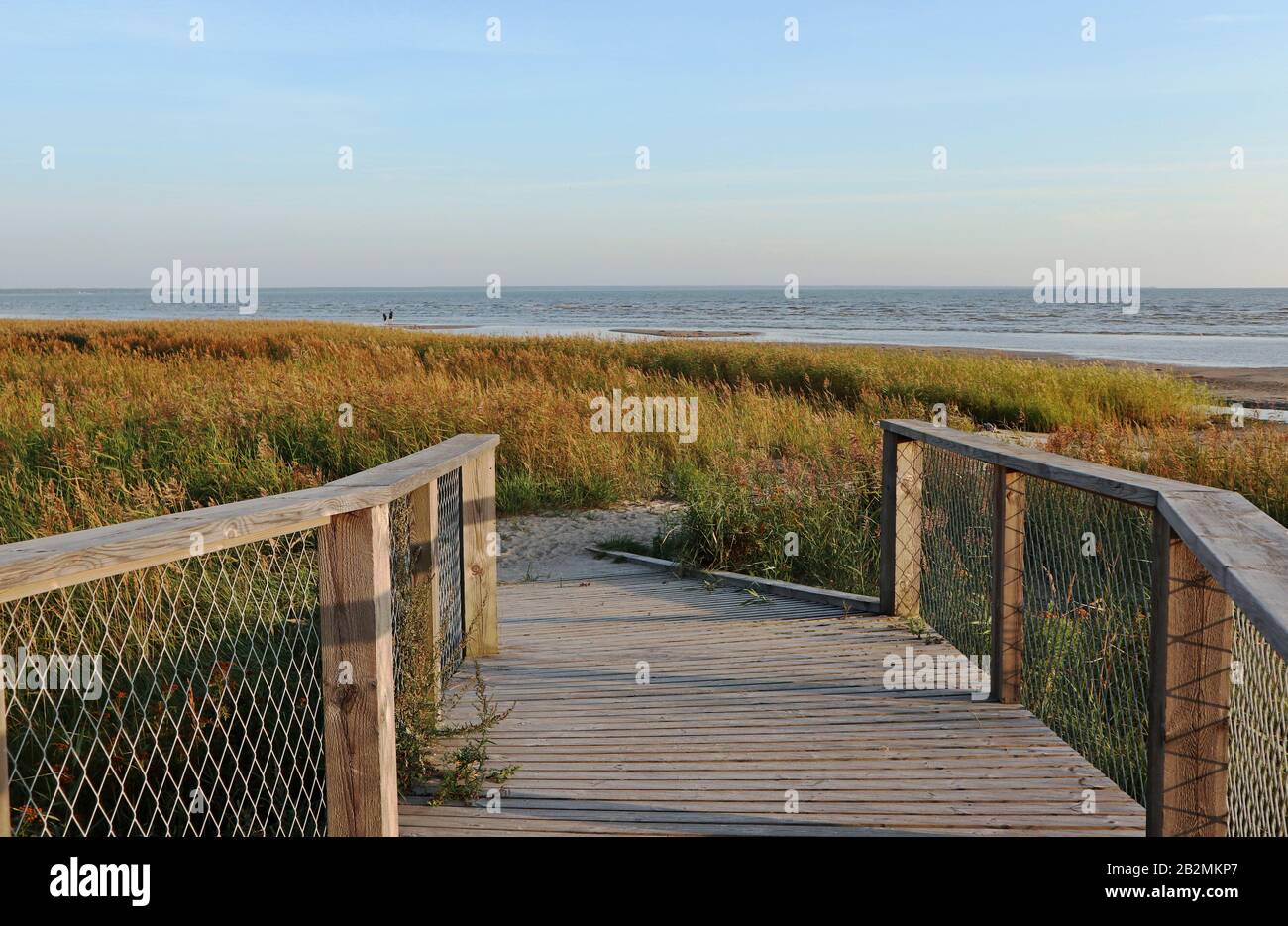 L'Estonie voyage la nature sauvage coucher de soleil plage bois promenade à la mer Baltique côte nature Banque D'Images