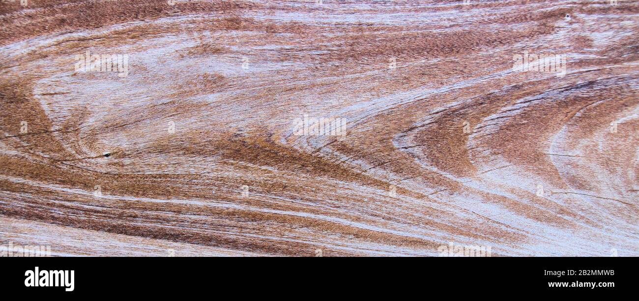 Une planche en bois rugueuse avec détail grain est affichée dans une vue rapprochée. Banque D'Images