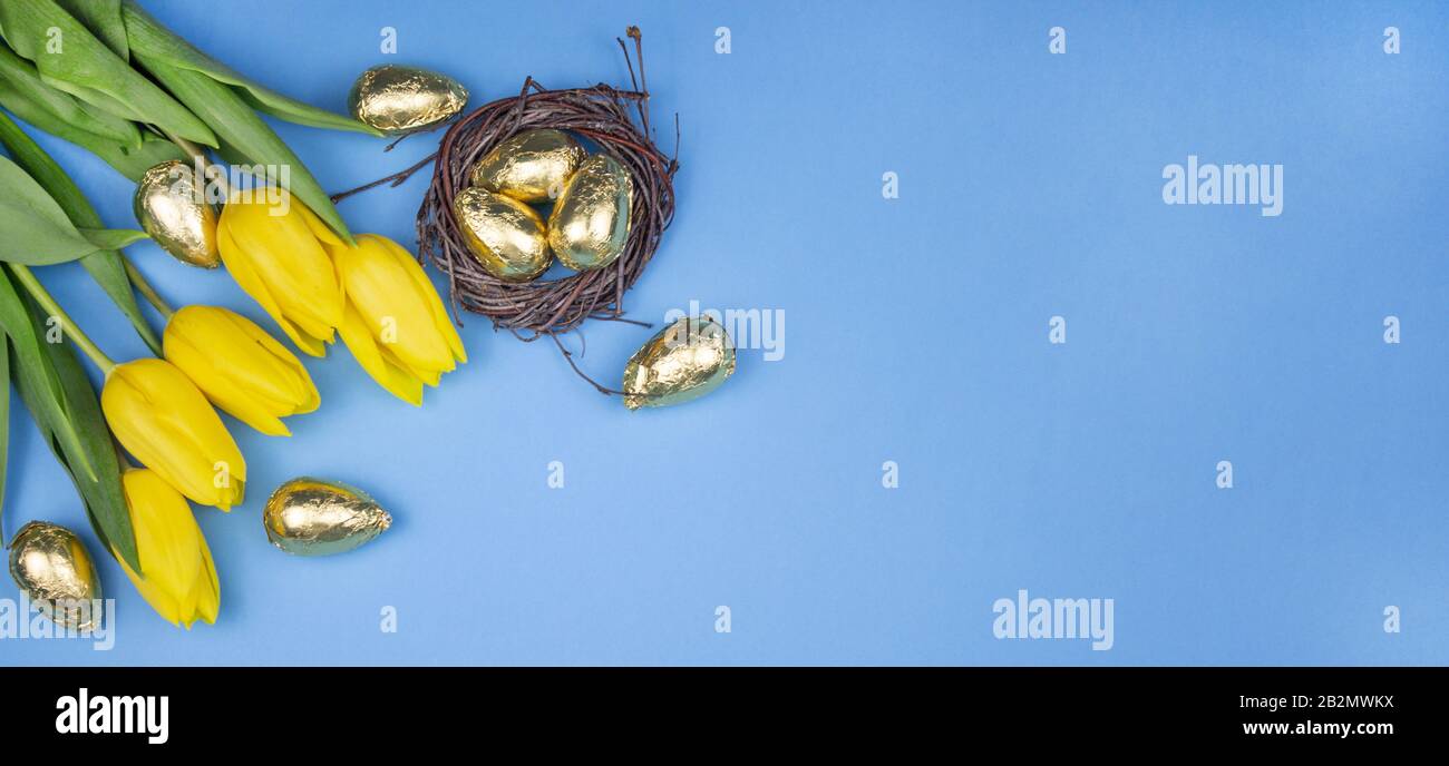 Œufs de Pâques. Bonne carte de pâques. Œufs de Pâques sur fond bleu. Joyeuses pâques. Tulipes. Tulipes jaunes et près des œufs dorés dans le nid. Vue de l'abov Banque D'Images