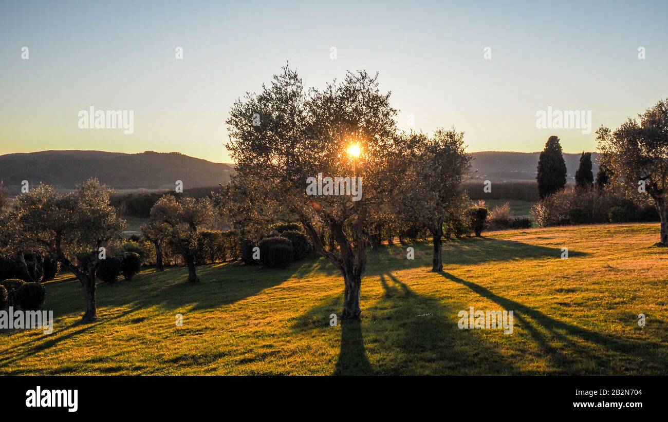 Toscane Valley au coucher du soleil heure d'or avec arbres et pelouse Banque D'Images