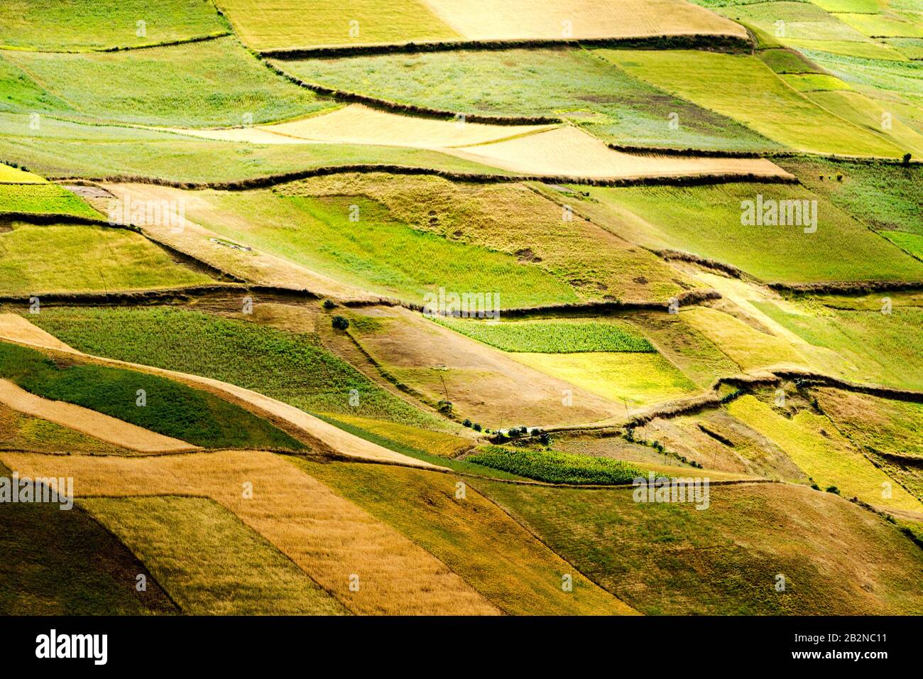 Paysage de l'agriculture dans les Andes équatoriennes Banque D'Images