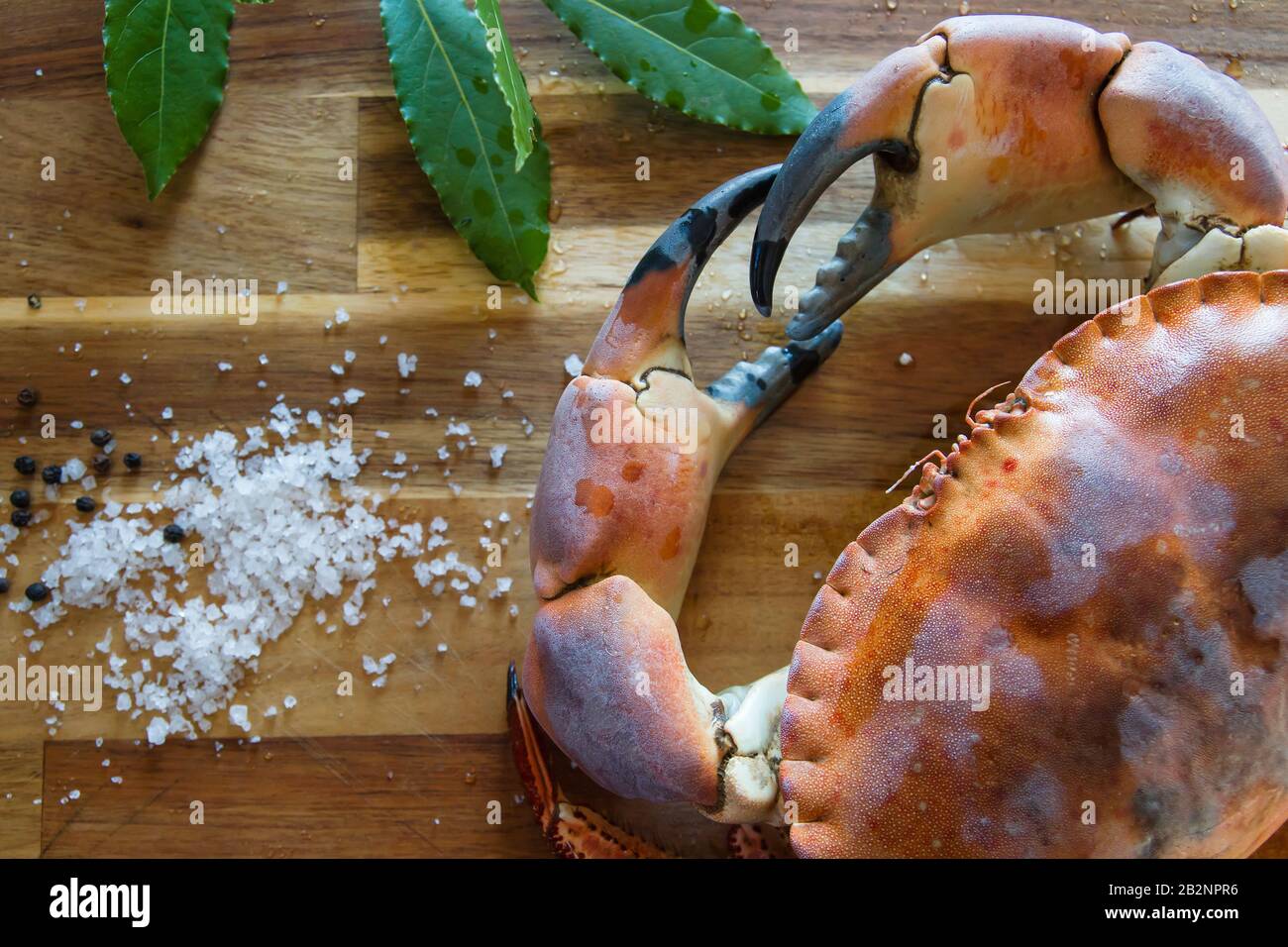 Crabe brun frais et comestible sur le plan de cuisine en bois, cuisant de délicieux fruits de mer Banque D'Images