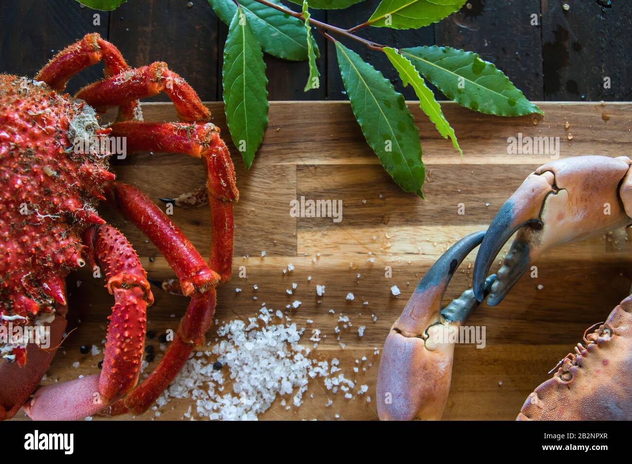 Crabe brun bouilli et crabe araignée dans le plan de cuisine en bois, délicieux préparation de fruits de mer Banque D'Images