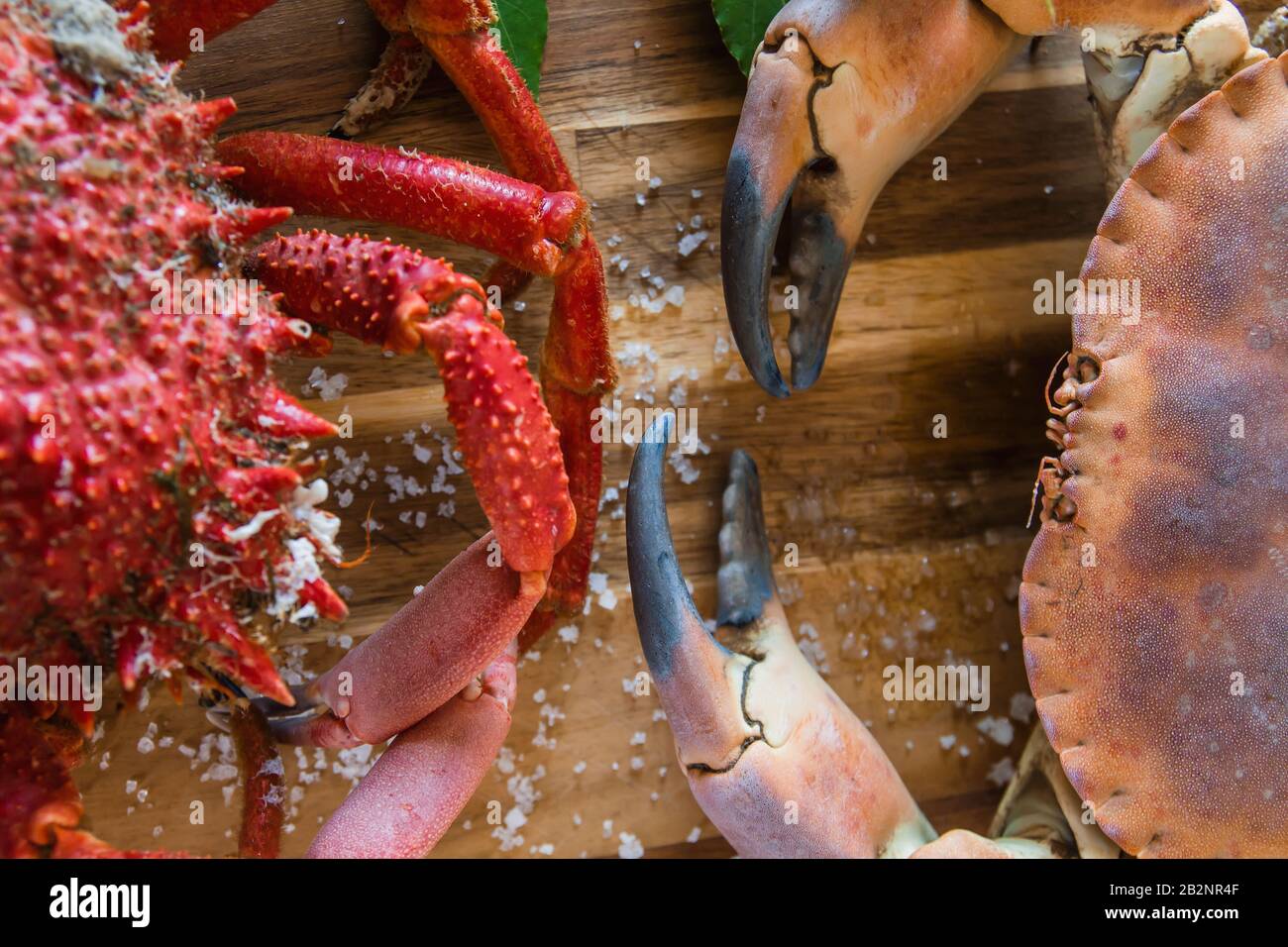 Crabe brun bouilli et crabe araignée dans le plan de cuisine en bois, délicieux préparation de fruits de mer Banque D'Images
