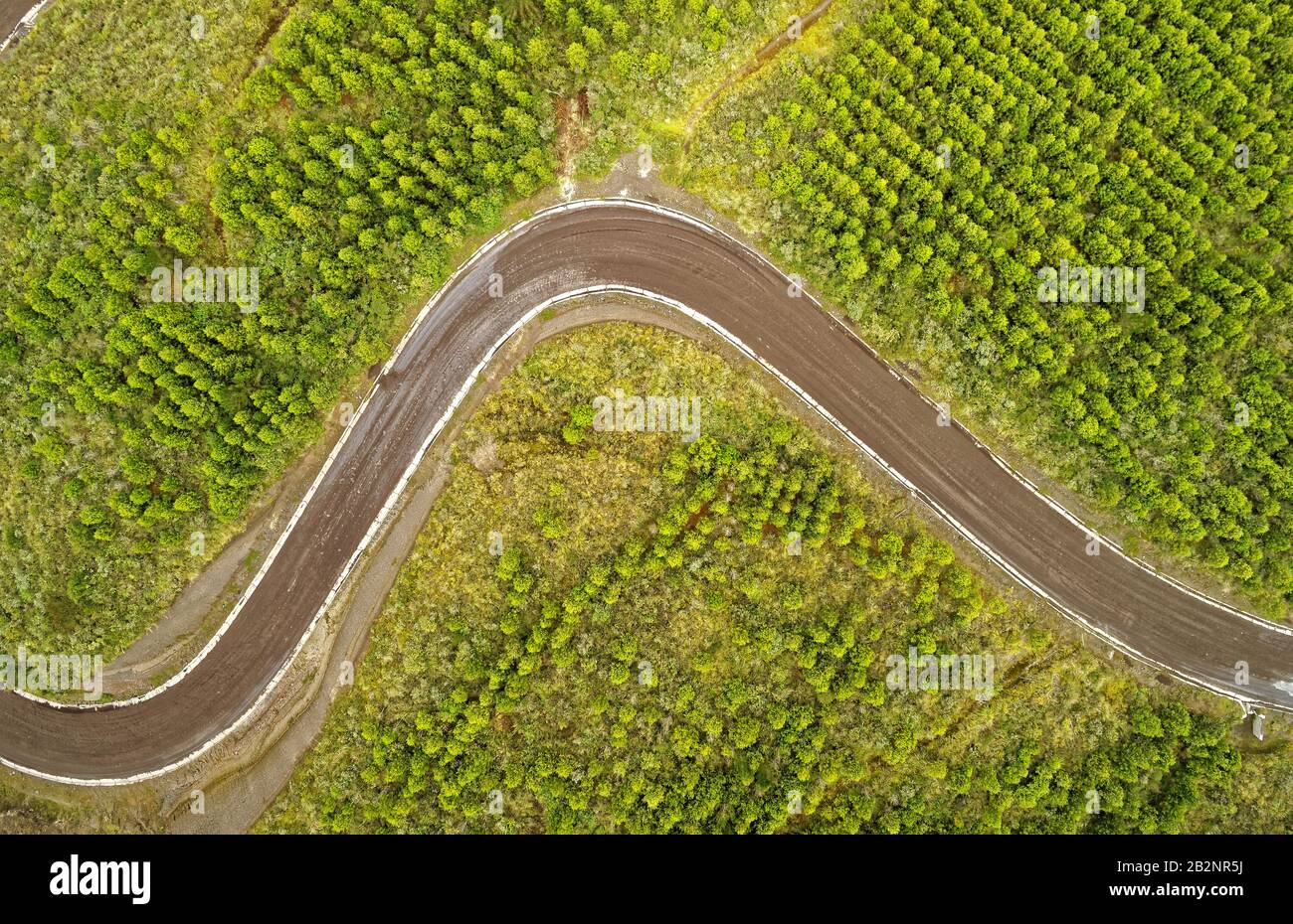 Une vue aérienne aérienne montre une route incurvée et non pavée avec des marques blanches serpentant à travers une forêt verte dense. La route forme un virage en S pointu, coupant à travers un paysage d'arbres luxuriants et Banque D'Images