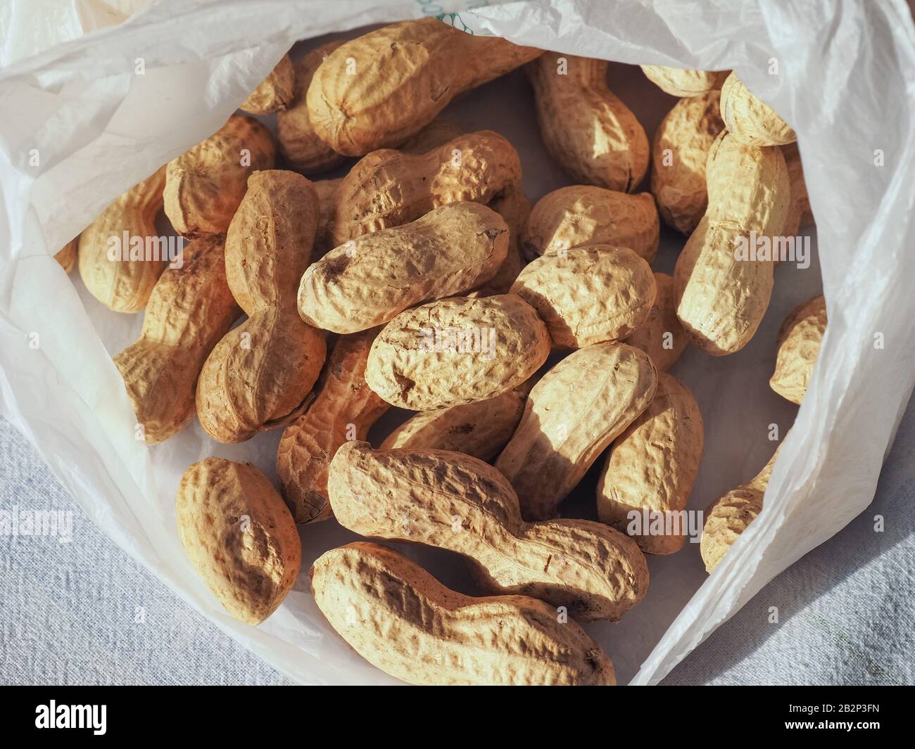 Cacacacahuètes (Arachis hypogaea) dans un sac en plastique Banque D'Images