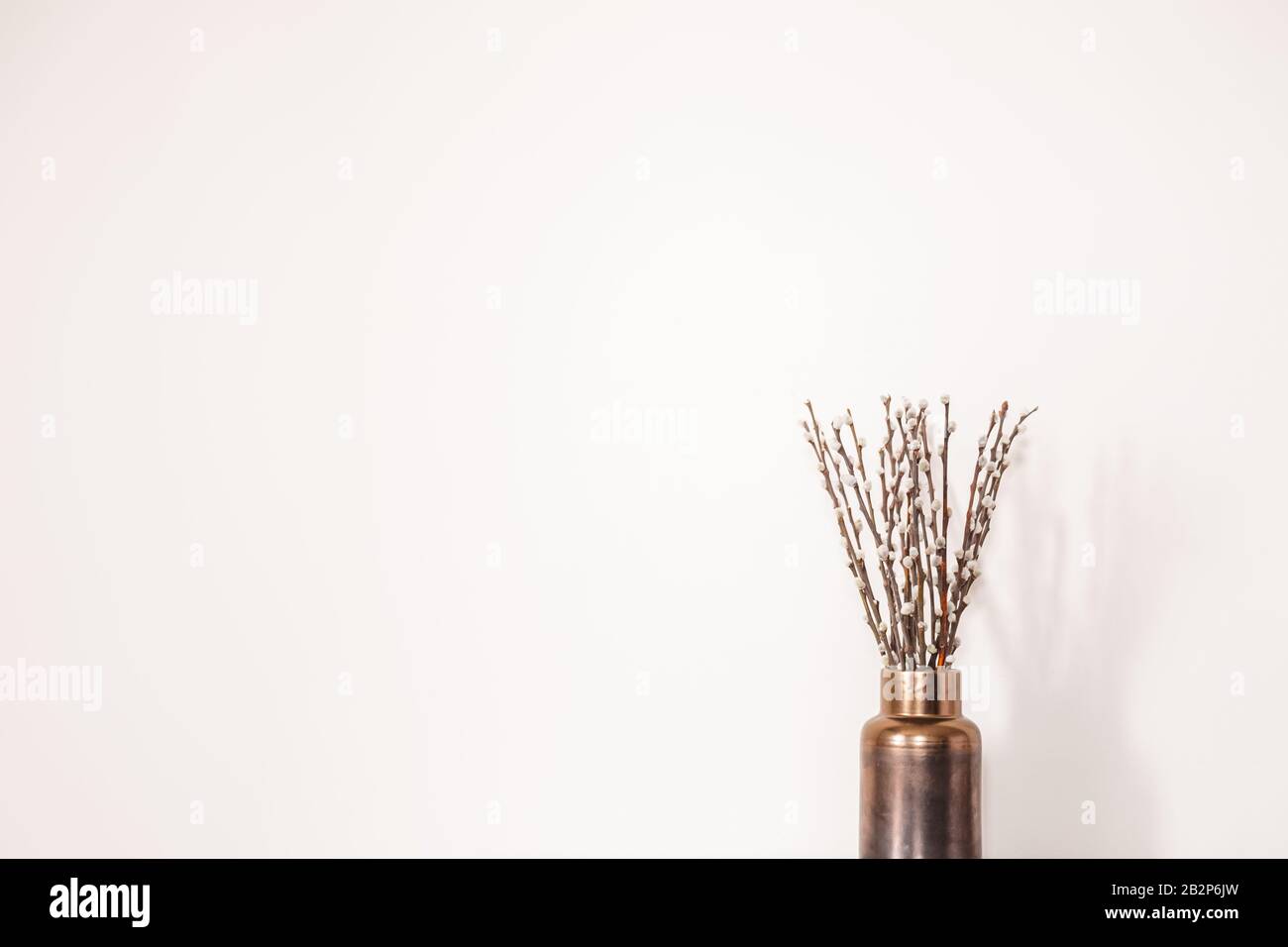 Brindilles avec bourgeons dans un vase contre le mur blanc. Concept du début du printemps, mars, réveil de la nature ou anticipation de la saison chaude Banque D'Images