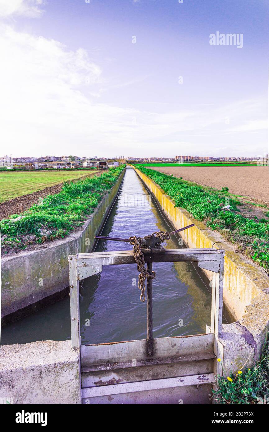 Fossé d'irrigation sur les rives de la rivière Ebro avec champs de luzerne Banque D'Images