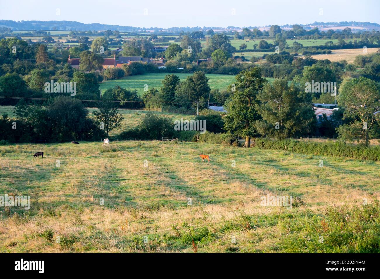 Champ montrant des preuves de bandes cultivées par des familles paysannes au Moyen âge, Napton sur la colline, près de Rugby, Warwickshire, Angleterre Banque D'Images