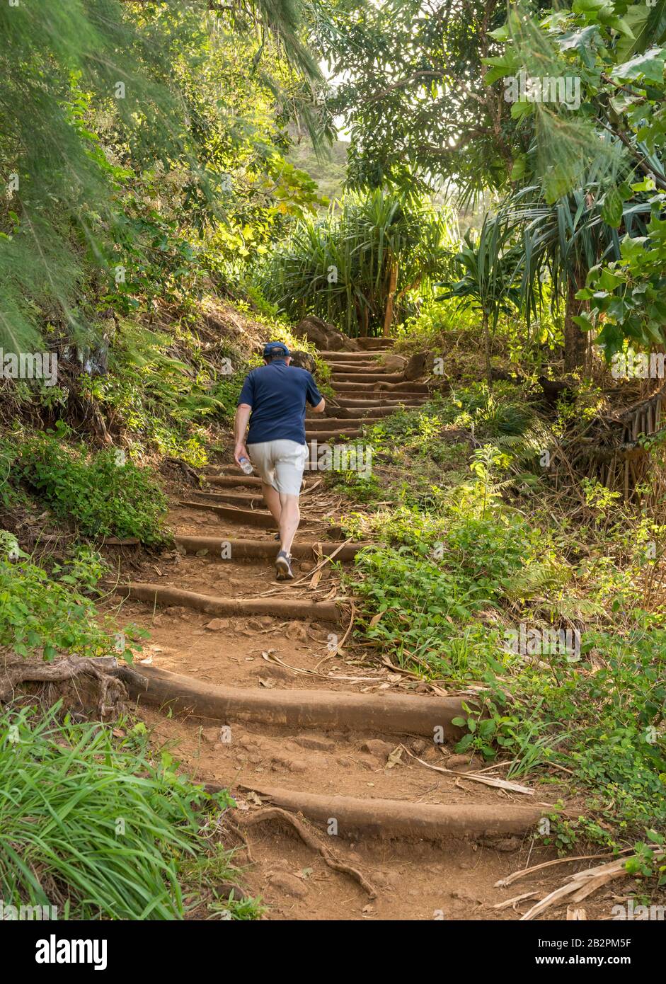Le randonneur senior a fait le long du sentier escarpé de Kalalau depuis la plage de Ke'e, sur la côte nord de Kauai Banque D'Images