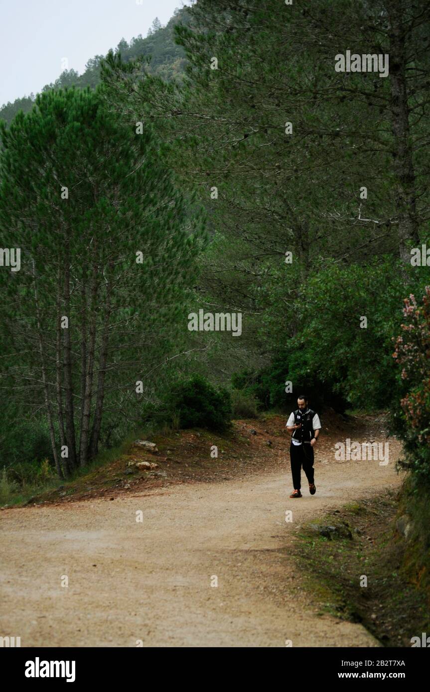 Homme marchant sur une route de terre au milieu de la forêt / images abstraites pour les couvertures de livre Banque D'Images