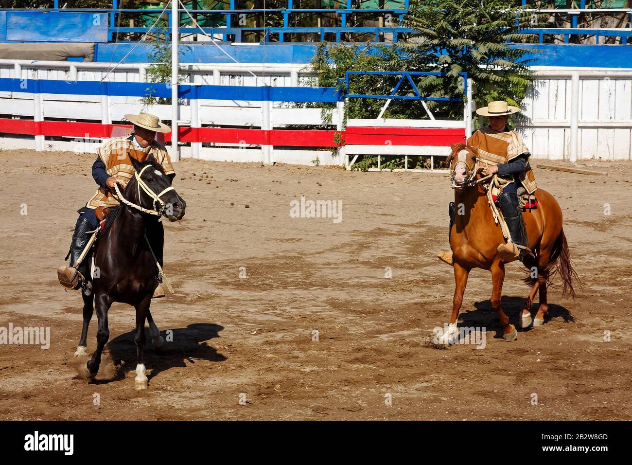 Cow boy rodeo cheval cavalier boucle de ceinture-solid-bull fighter-western accessoires 