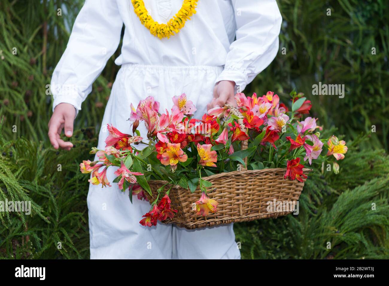 Jeune homme portant un clothe traditionnel de l'île de Madère folklore tenant un panier de fleurs au 'Festival des fleurs de l'adeira' sur l'île de Madère, au Portugal Banque D'Images